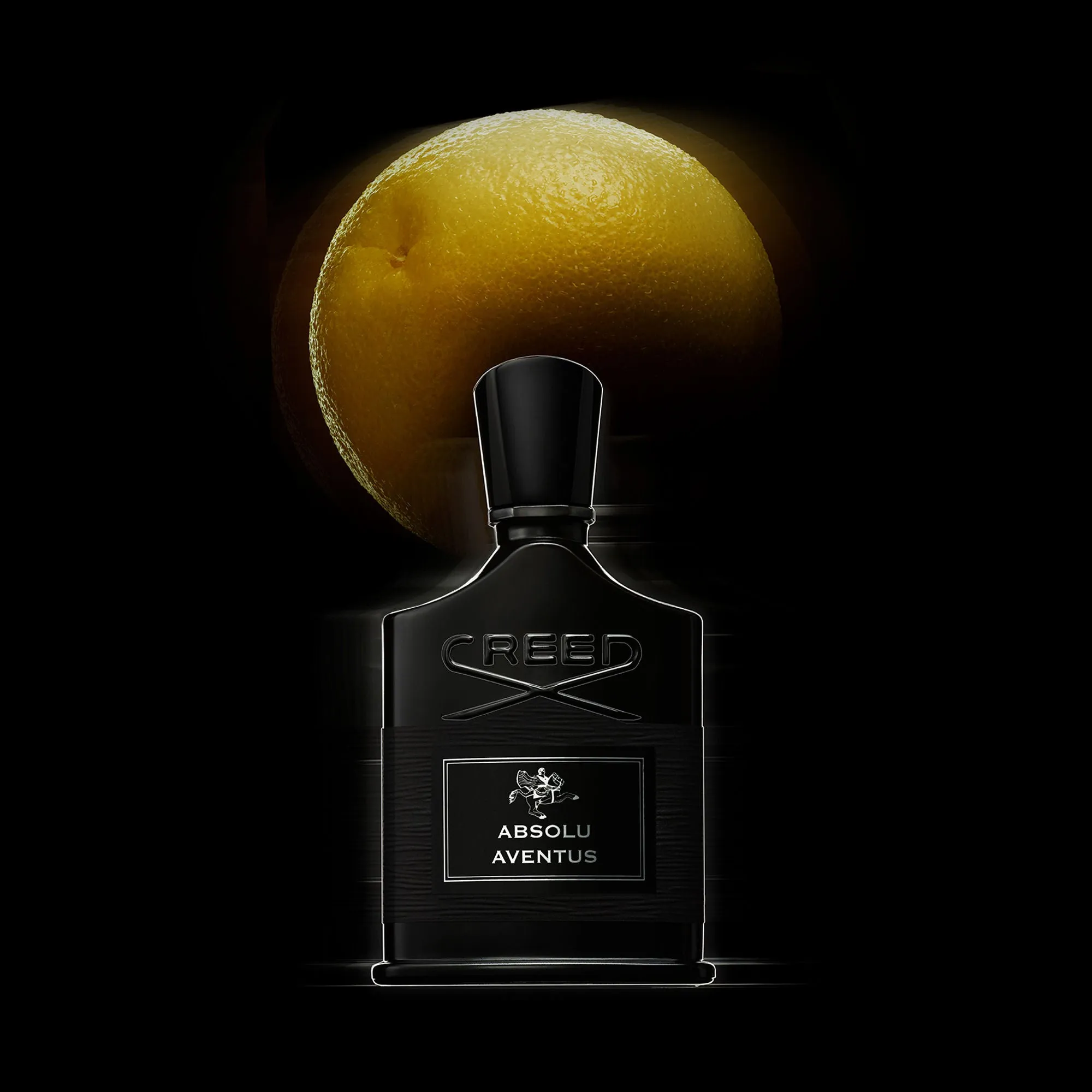 Absolu Aventus